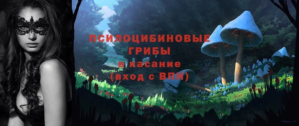 эйфоретик Алексеевка