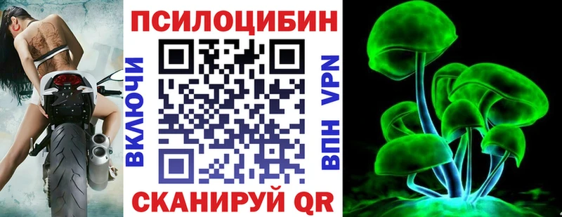 ссылка на мегу   Безенчук  Галлюциногенные грибы мицелий 